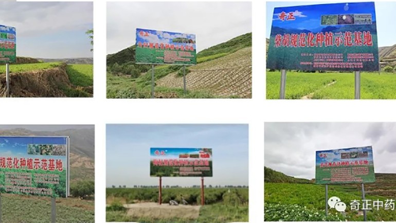 隴西奇正藥材有限責(zé)任公司入選第一批國家中藥材標(biāo)準(zhǔn)化與質(zhì)量評估創(chuàng)新聯(lián)盟GAP重點培育單位